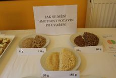 Seminář 2025